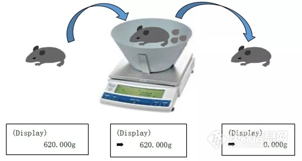 島津UX動物天平的主要特點及技術參數(圖3)